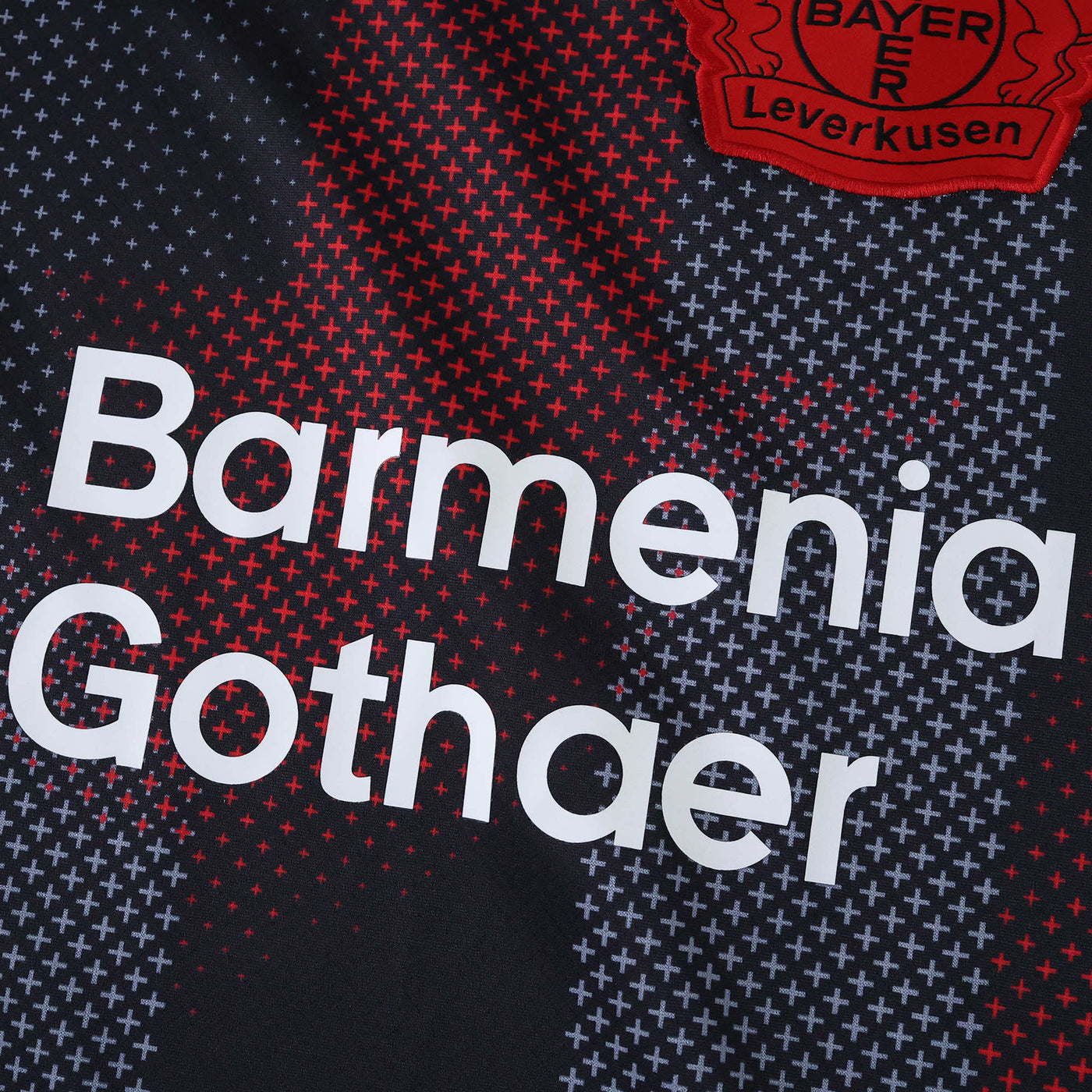 Bayer 04 Leverkusen 25/26 I Home Jersey - Fan Version