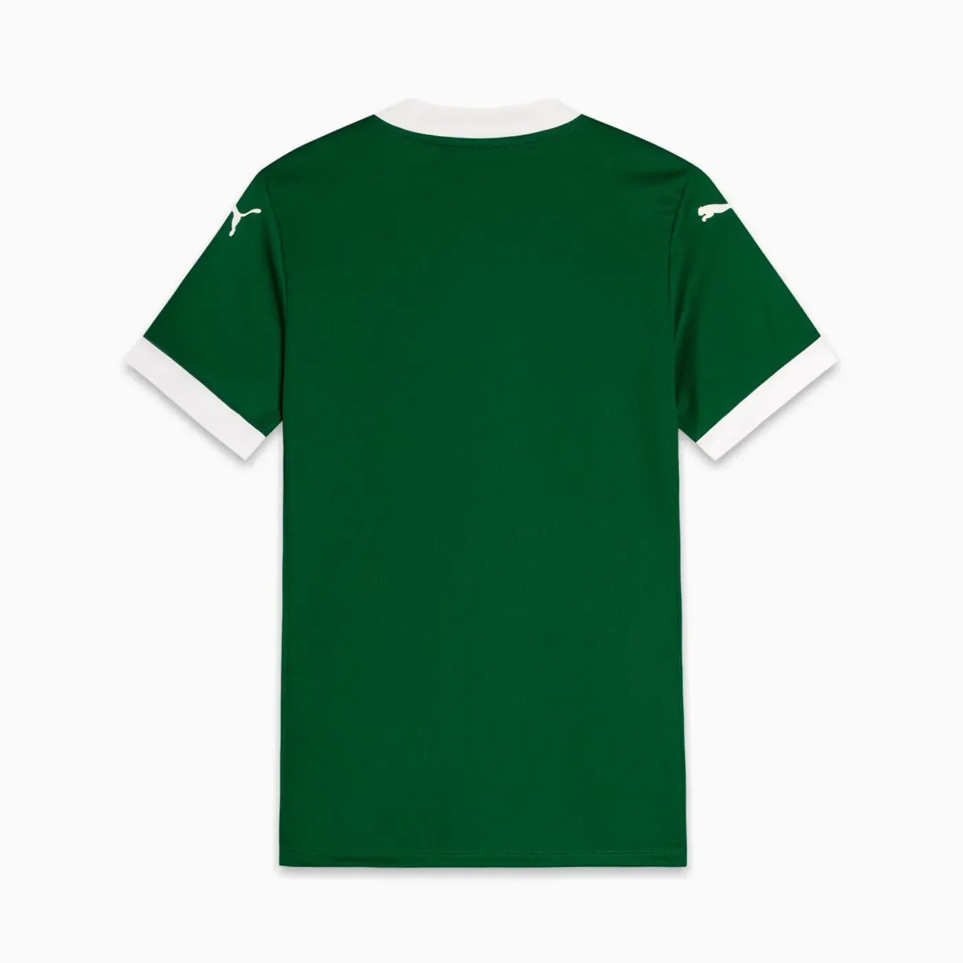 Palmeiras 25/26 I Home Jersey - Fan Version