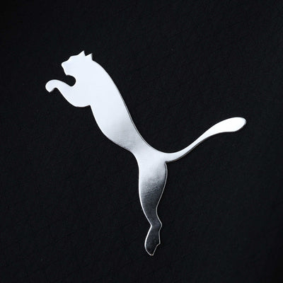 Manchester City ll 2025/26 - Version Player