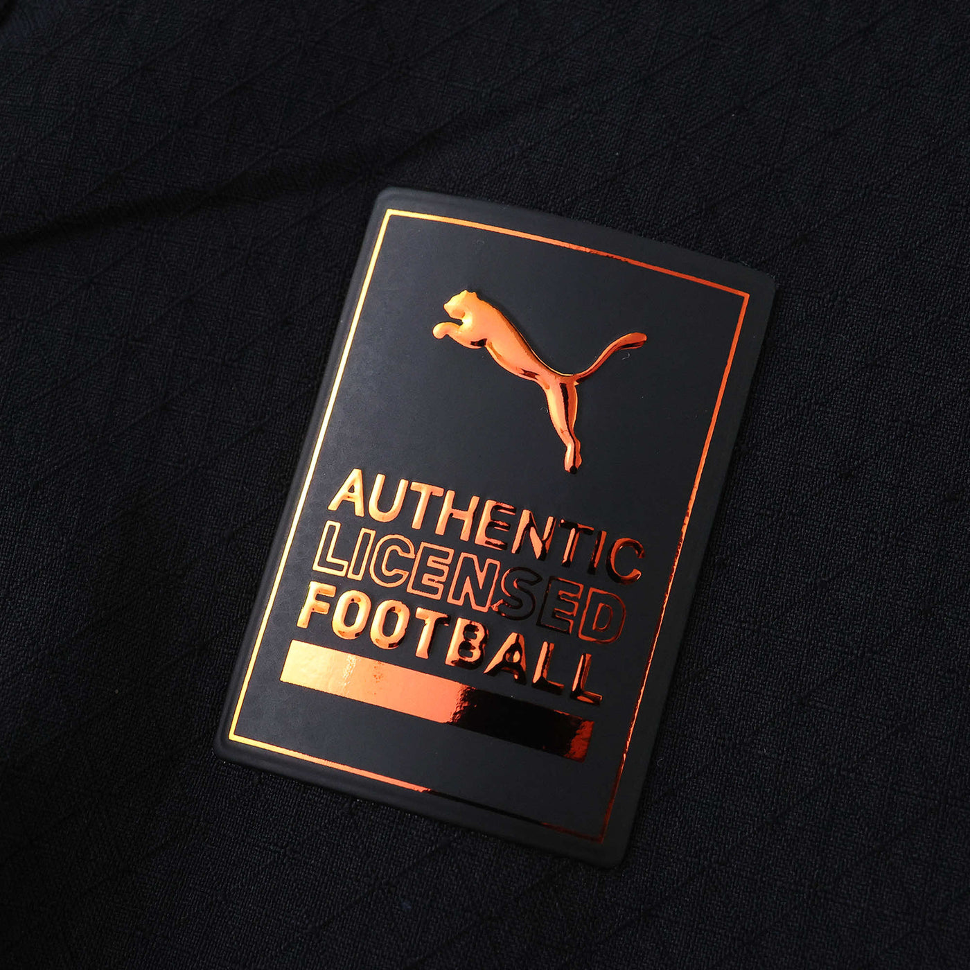 Manchester City ll 2025/26 - Version Player