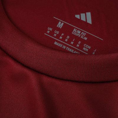 Aston Villa Home Jersey 2025/2026