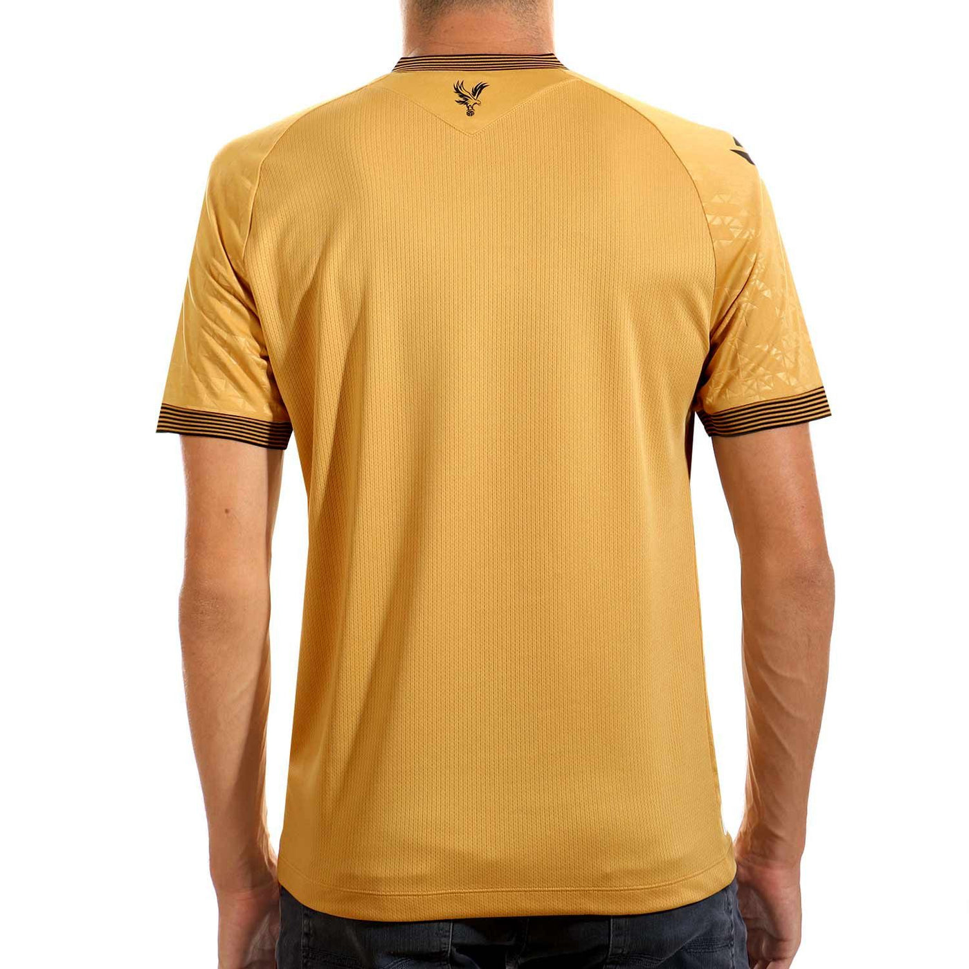 Crystal Palace III 25/26 Version Fan