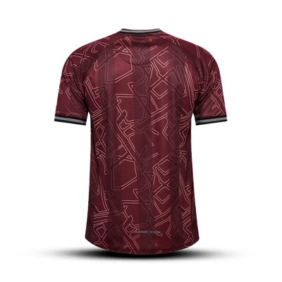 Denmark Jersey Home 2024/2025