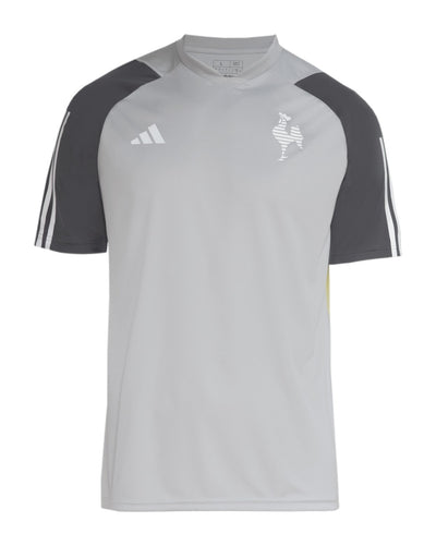 Atletico Mineiro 24/25 Training Jersey - Gray - Fan Version